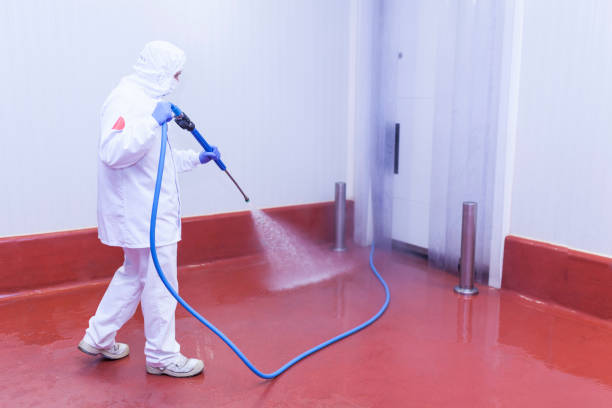 Best Fleet Vehicle Washing  in Hlcrest, IL